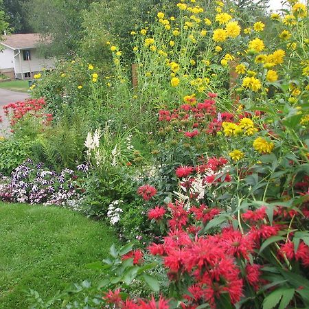 The Grateful Bed B'N'B Bed and Breakfast Prince George Eksteriør billede